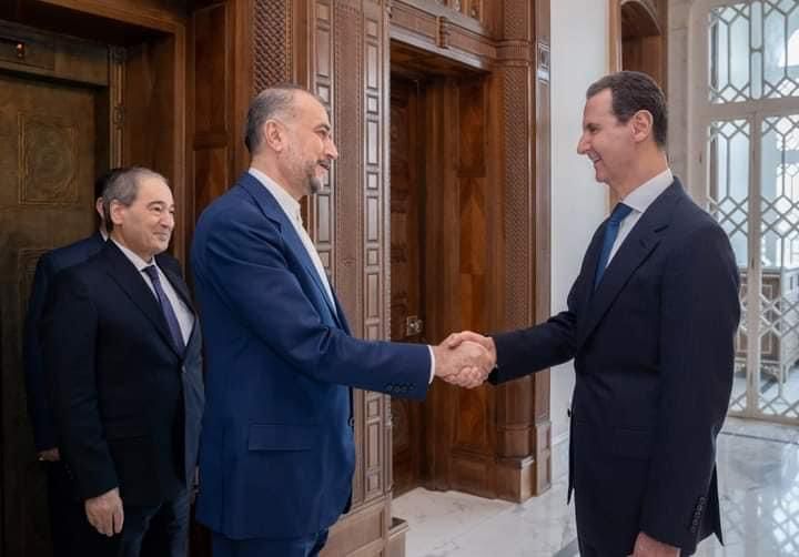 الأسد استقبل 